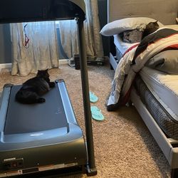 Sunny Treadmill 2024