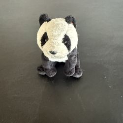 TY Beanie Baby Panda Bear Named China Missing Tag 