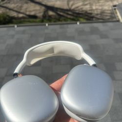 Apple Headphones 