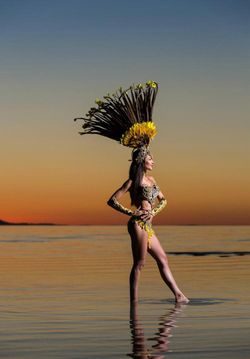 Brazilian Carnival Samba Costume