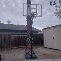 Basketball  Hoop 