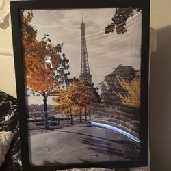 Paris Photo 