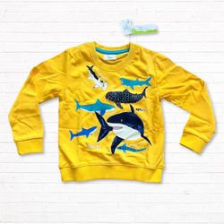 Kids Boys Glow in the Dark Shark Sweater