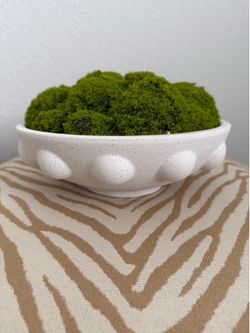 Decorative moss bowls