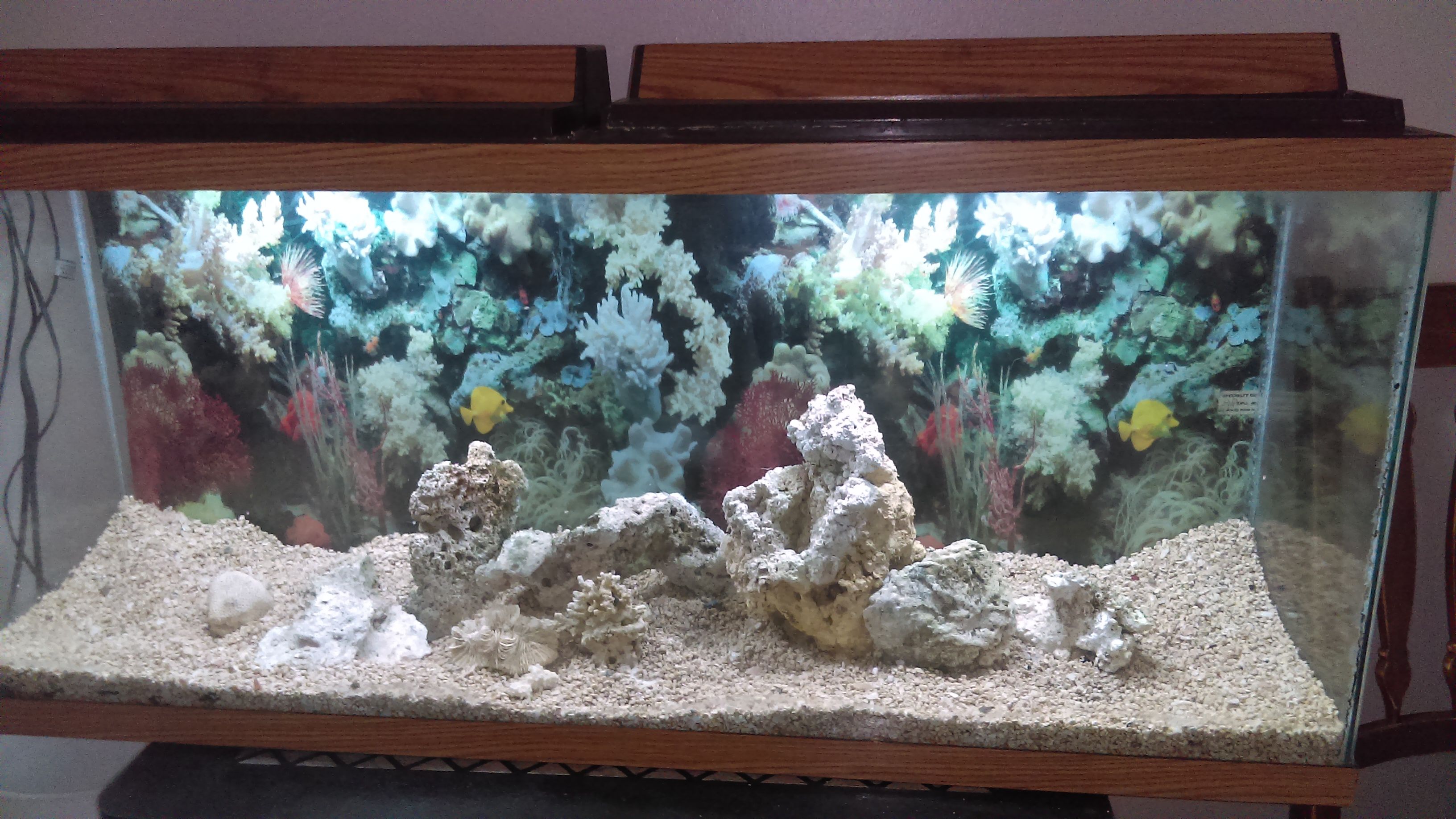 55 gal Fishtank with 2 lights, rocks and decoration. Good conditions no leaks or cracks.