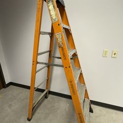 6ft Ladder 