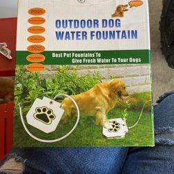 Outdoor dog water fountain