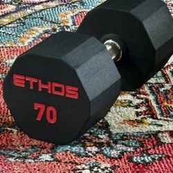 70lb Dumbbell 