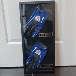 NFL AUTOGRAPHED GLOVE DISPLAY HOF BRIAN URLACHER AND LARRY FITZGERALD 