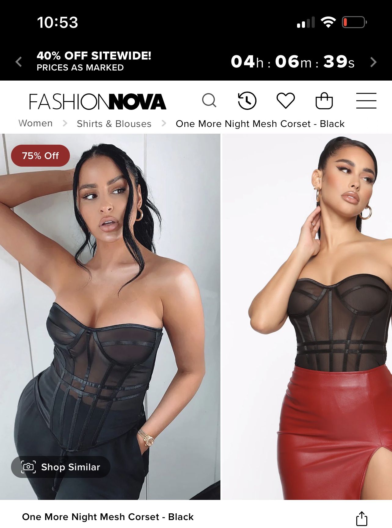 Beige Mesh Corset Top