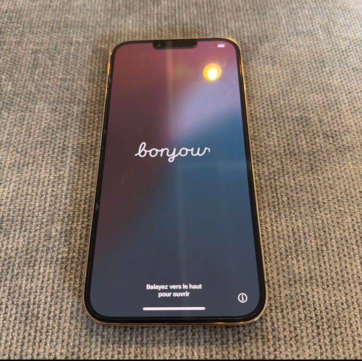 iPhone 13 Pro Max 256gb 