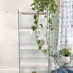 Glass Bookshelves 