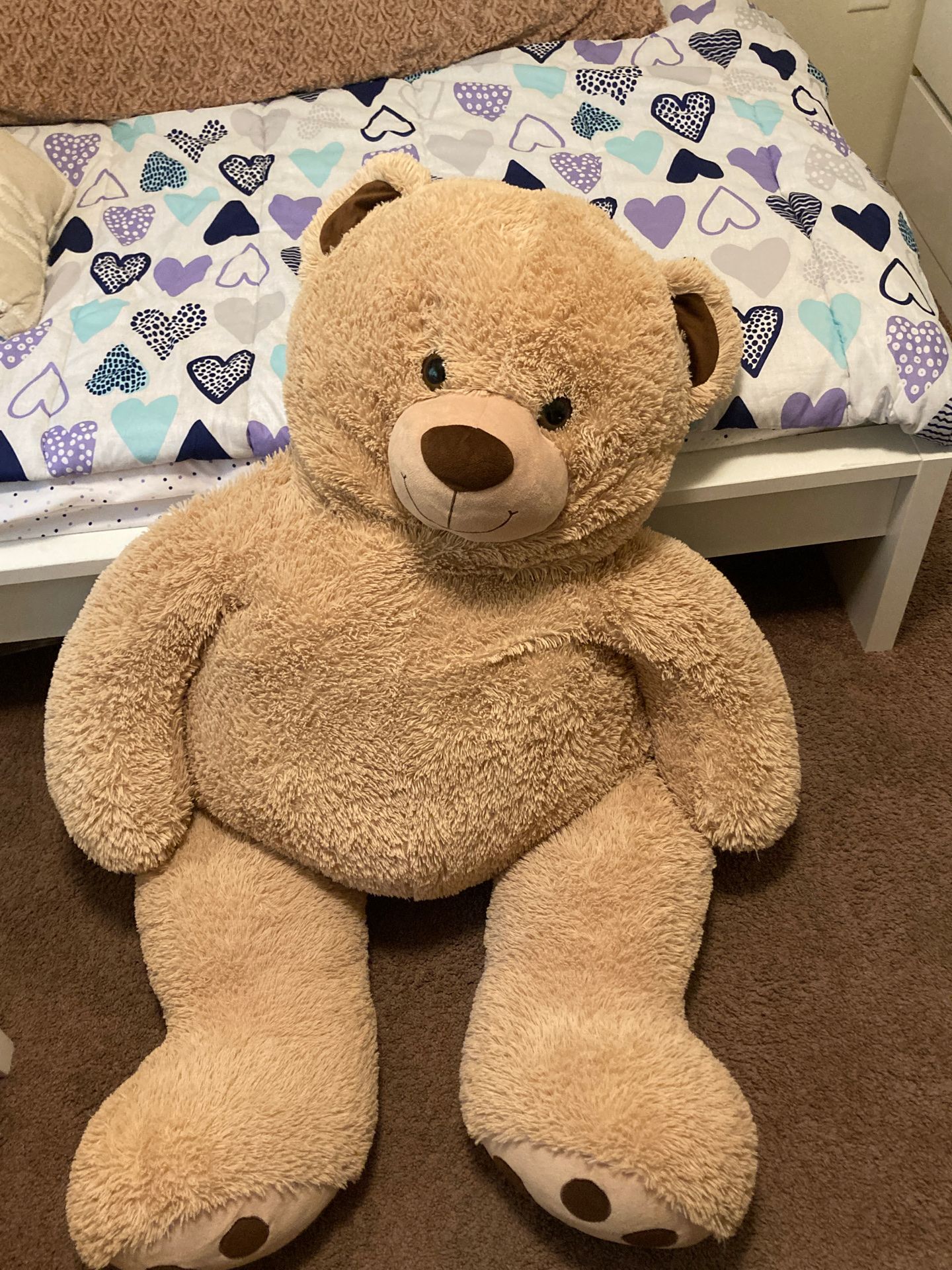 Big teddy bear. Super soft and fun to sit/lay on. Barley used. Used as a display item.