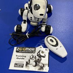 2 Robotic Toys.  Good Working Condition  Dog Missing Tail