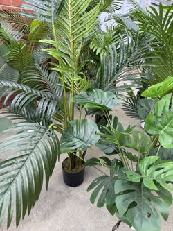 Artificial Plants 🪴 Different Sizes