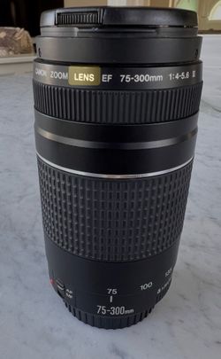 Canon EF 75-300mm f/4-5.6 III Telephoto Zoom Lens