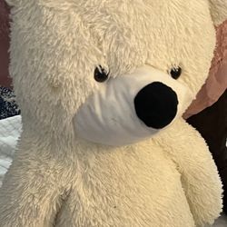 Teddy Bear