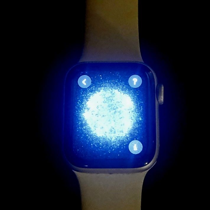 Apple Watch SE