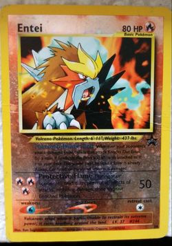 Entei Pokemon.