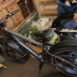 Rad,rover Electric Bike