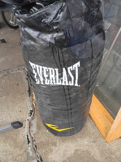 Everlast Punching Bag