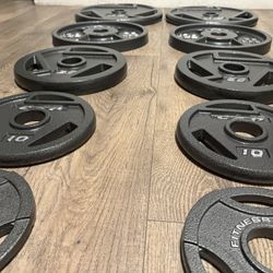 BRAND NEW Full Set Of Cast Iron Weight Plates  from 2.5s to 45s  Pounds [Total: 245 lbs] 