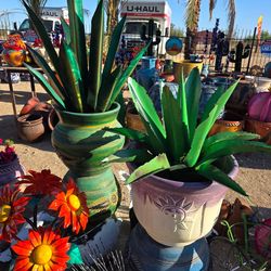 🪷Desert Yard Beauties💐Agaves,Flowers
Agaves, saguaros🌵PLANTERS