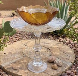 🌿 Beautiful tabletop bird bath/feeder/garden art