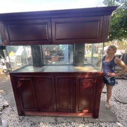 Saltwater Or Freshwater, Coral Reef Aquarium for Sale with Installation and maintenance