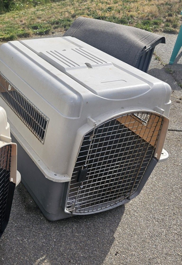 XXL Dog Kennel