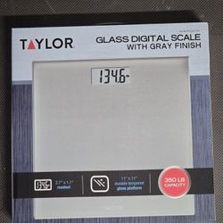 Digital Scale 