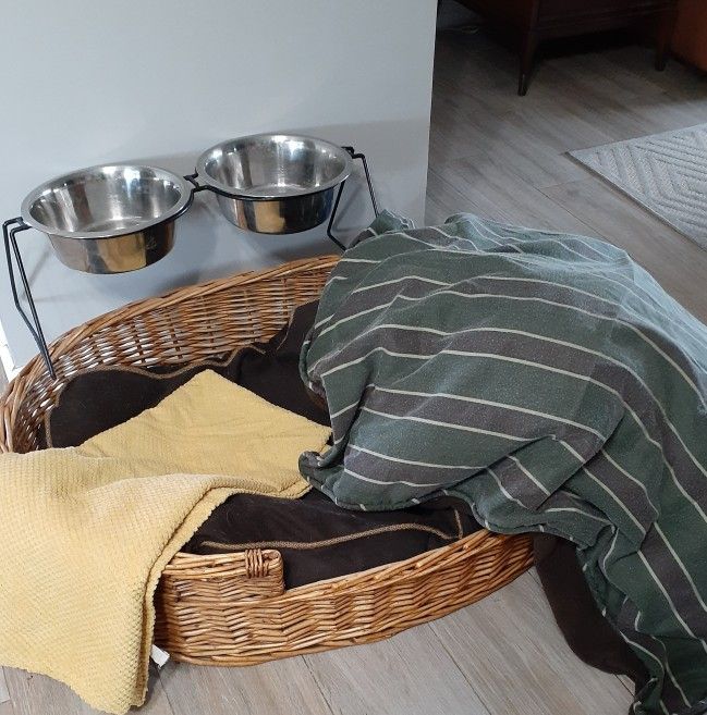 Dog Bed Basket and Elevated Stainless Steel Food Dish