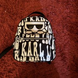 BLACK AND WHITE KARL LAGERFELD BAG