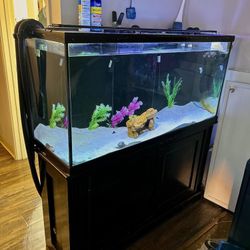 80 Gallon fish Tank with stand and more accessories 