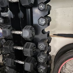 Full 528 LB Dumbbell Set + Rack – Home Gym