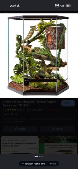 reptile enclosure