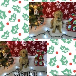 Golden Retriever Stuffed Animals 
