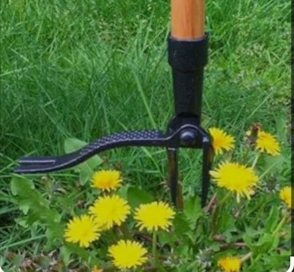 Grampa's Weeder - The Original Stand Up Weed Puller Tool with Long Handle