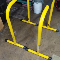 Lebert Total Body Strengthener (Dip)