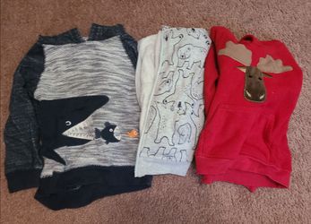 Toddler Boys 2/3T hoodies