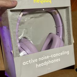 HeyDay Noise Canceling Wireless Noise Canceling Headphones