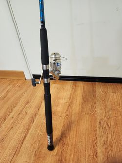 Daiwa Pole With diawa 4000 reel is like new