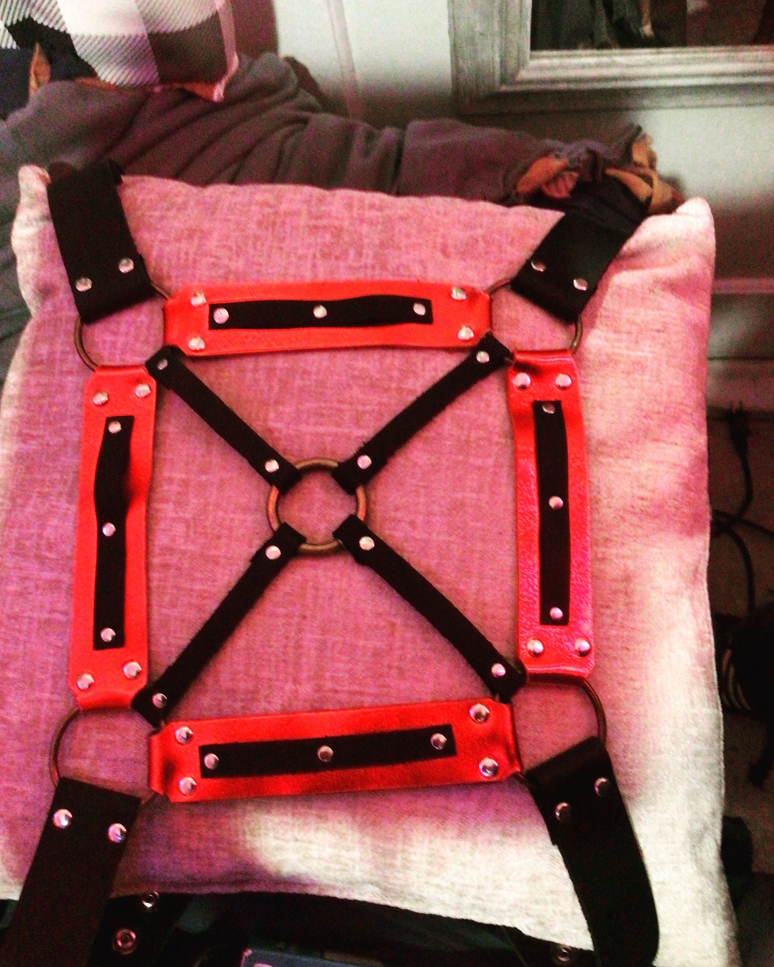 Custom Made Harley Quinn Harness
