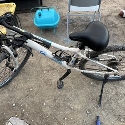  Enchant Liv mountain bike with a Schwinn seat. 