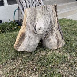 Tree stump