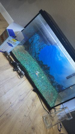 40 gallon fish tank