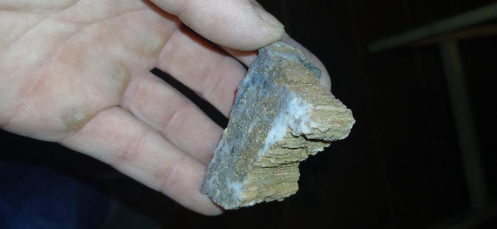Petrified Wood