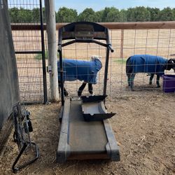 Treadmill Not Running 