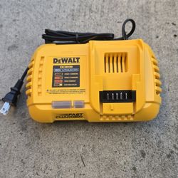 Fast Charger Brand New
