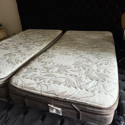 Adjustable Bed 